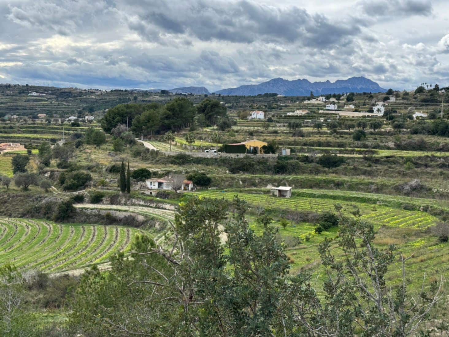 Area Edificabile in vendita in Teulada - 275.000 € (Rif: 9639918)