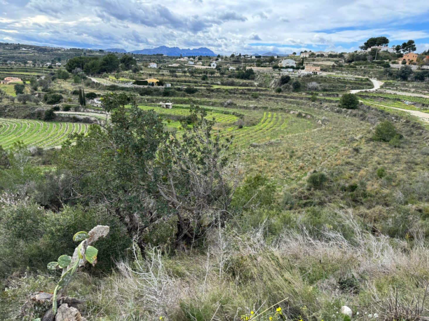 Area Edificabile in vendita in Teulada - 275.000 € (Rif: 9639918)