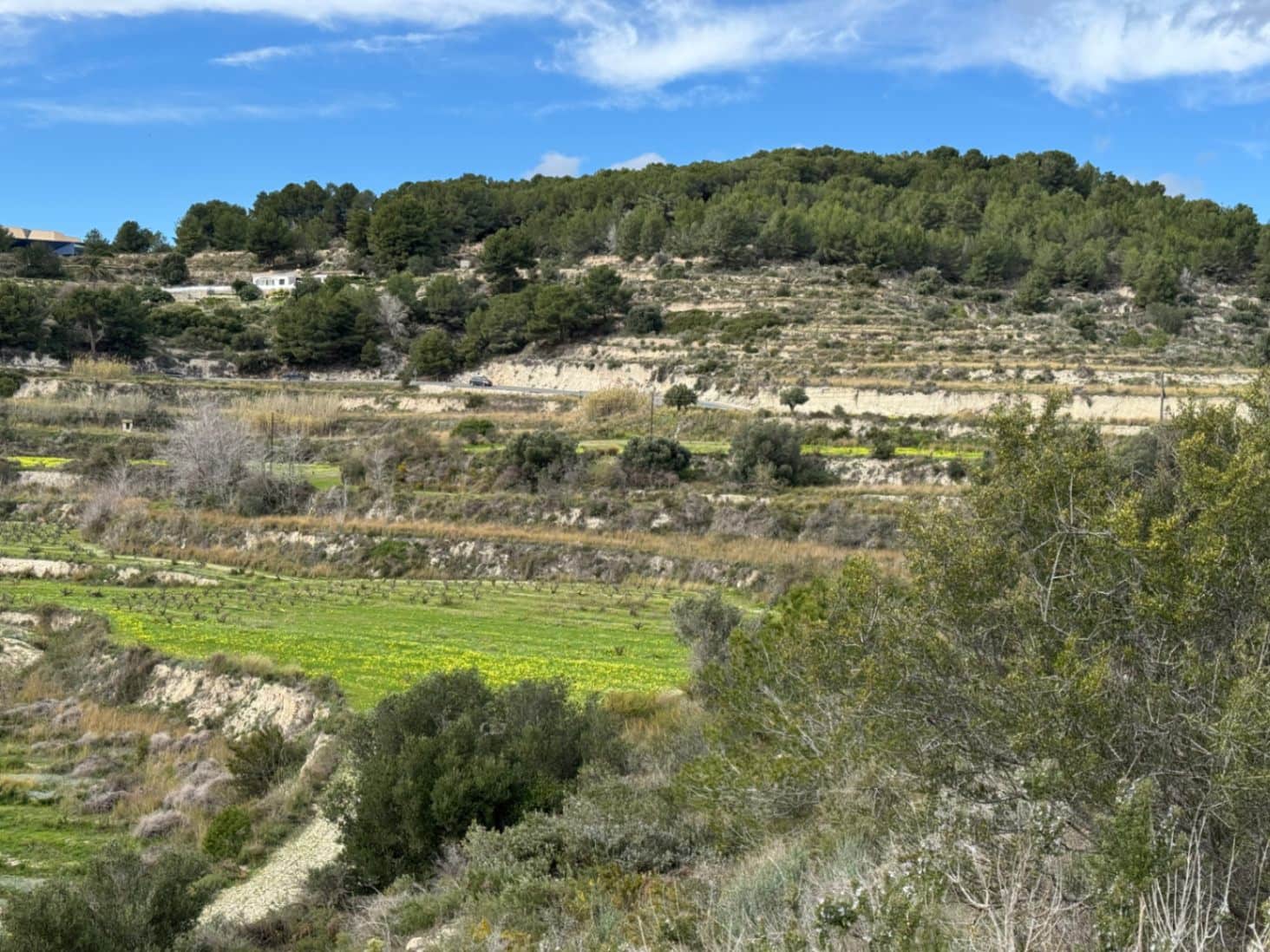 Area Edificabile in vendita in Teulada - 275.000 € (Rif: 9639918)