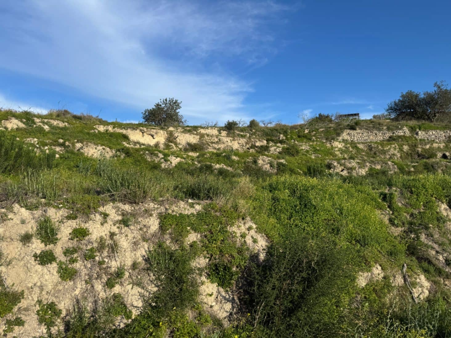 Byggegrund til salg i Benissa - € 265.000 (Ref: 9706109)