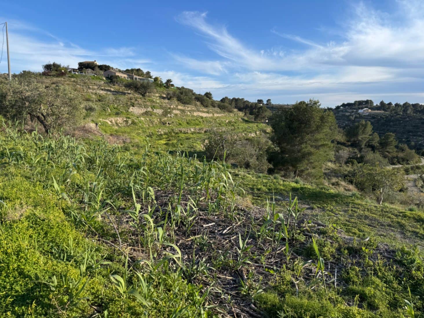 Byggegrund til salg i Benissa - € 265.000 (Ref: 9706109)