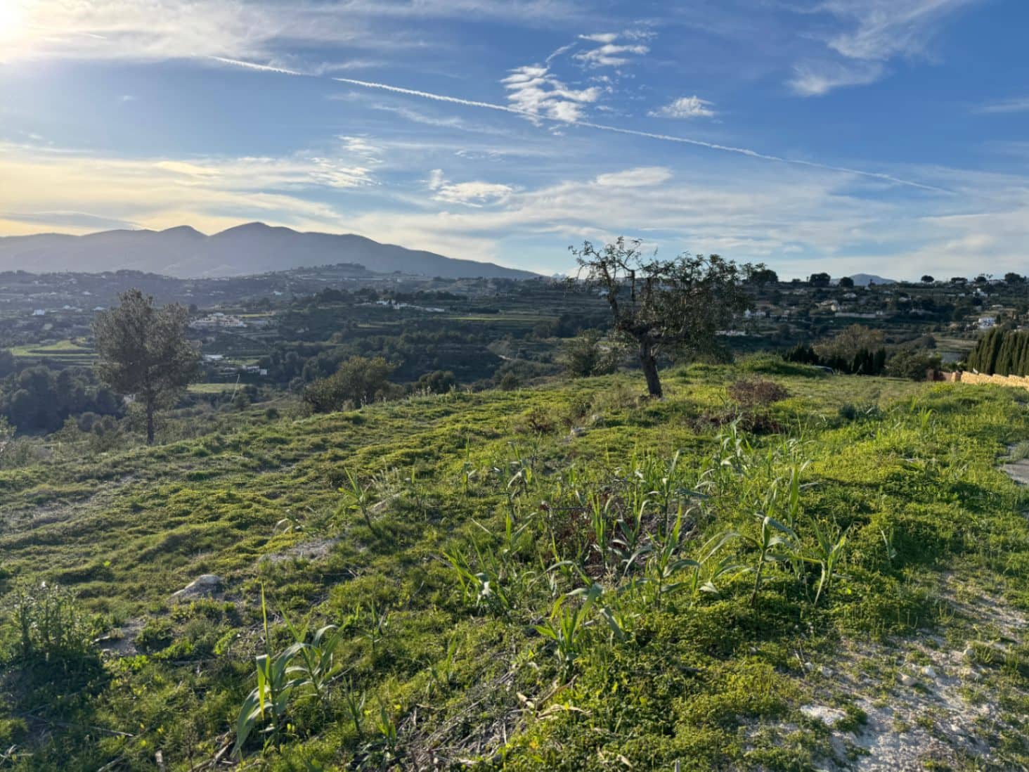 Byggegrund til salg i Benissa - € 265.000 (Ref: 9706109)