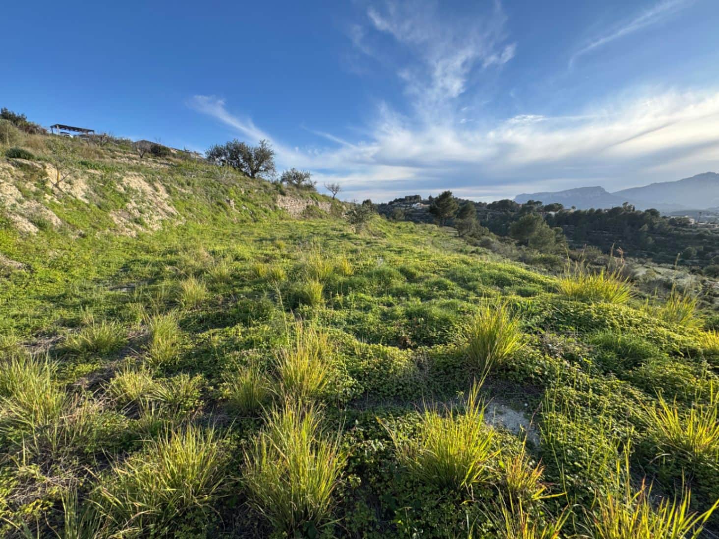 Byggegrund til salg i Benissa - € 265.000 (Ref: 9706109)