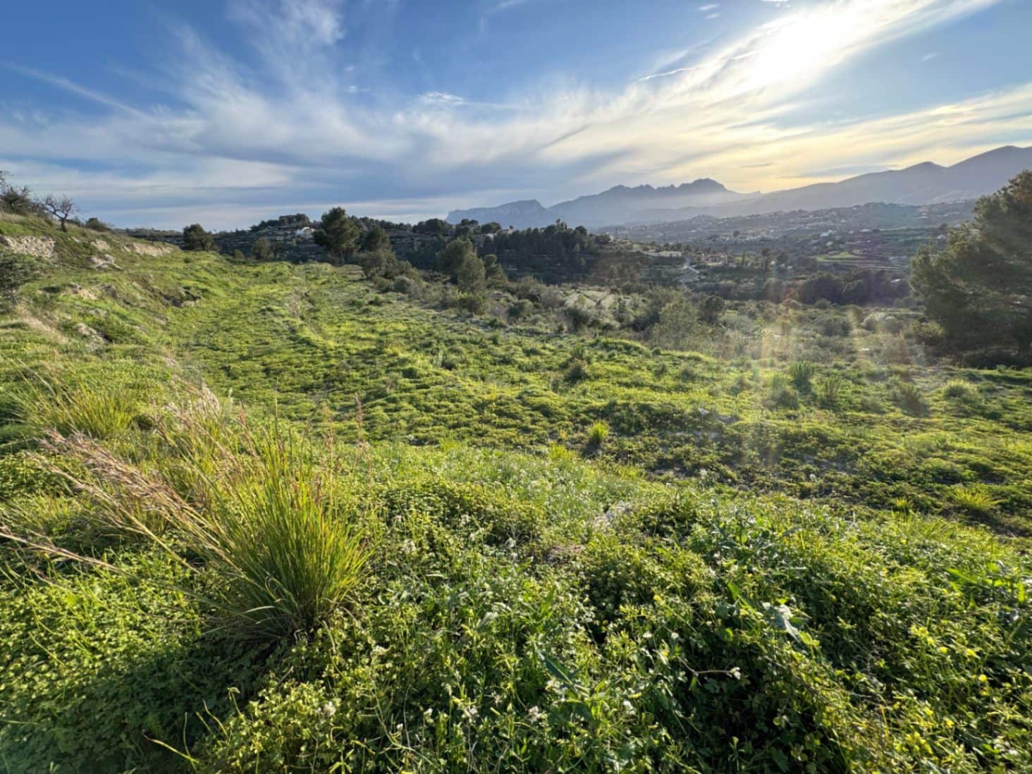 Byggegrund til salg i Benissa - € 265.000 (Ref: 9706109)