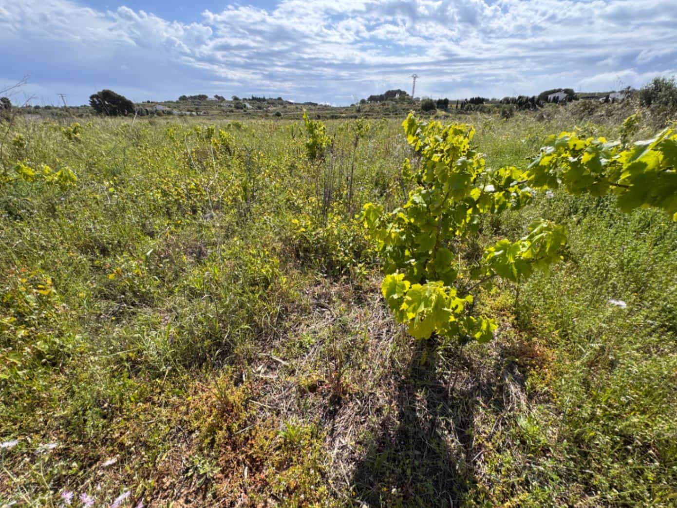 Tomt till salu i Benissa - 299 000 € (Ref: 9866182)