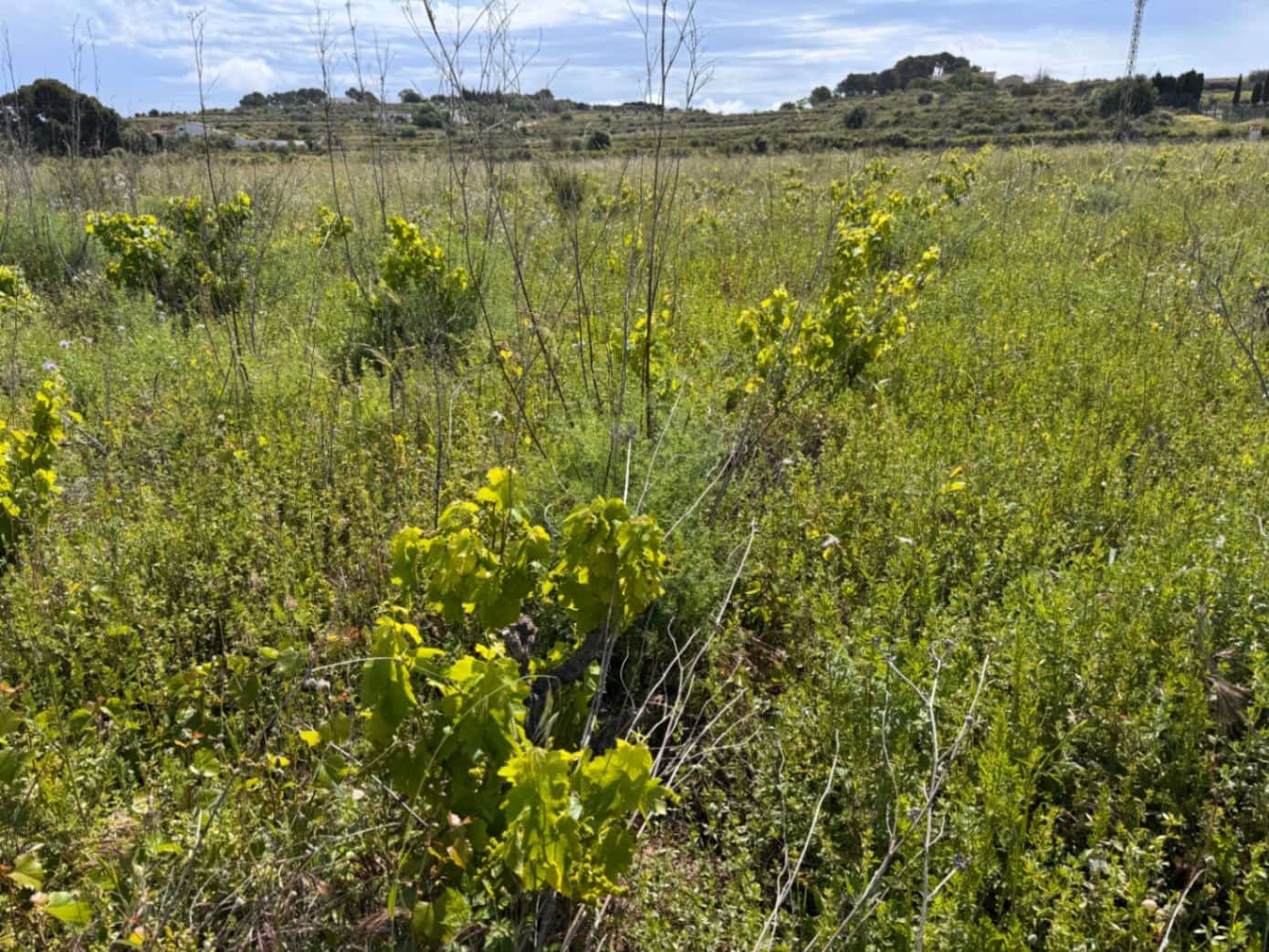 Tomt till salu i Benissa - 299 000 € (Ref: 9866182)
