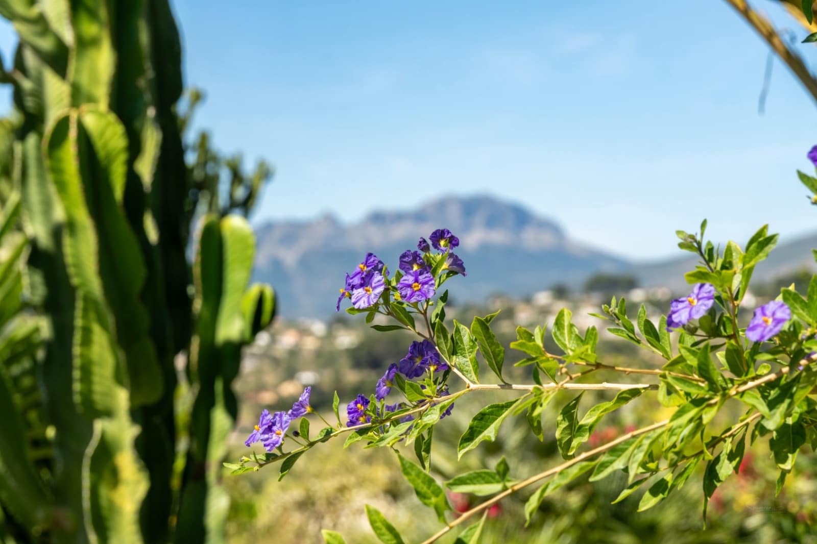 3 bedroom Finca/Country House for sale in Benissa with pool garage - € 1,299,500 (Ref: 9872844)