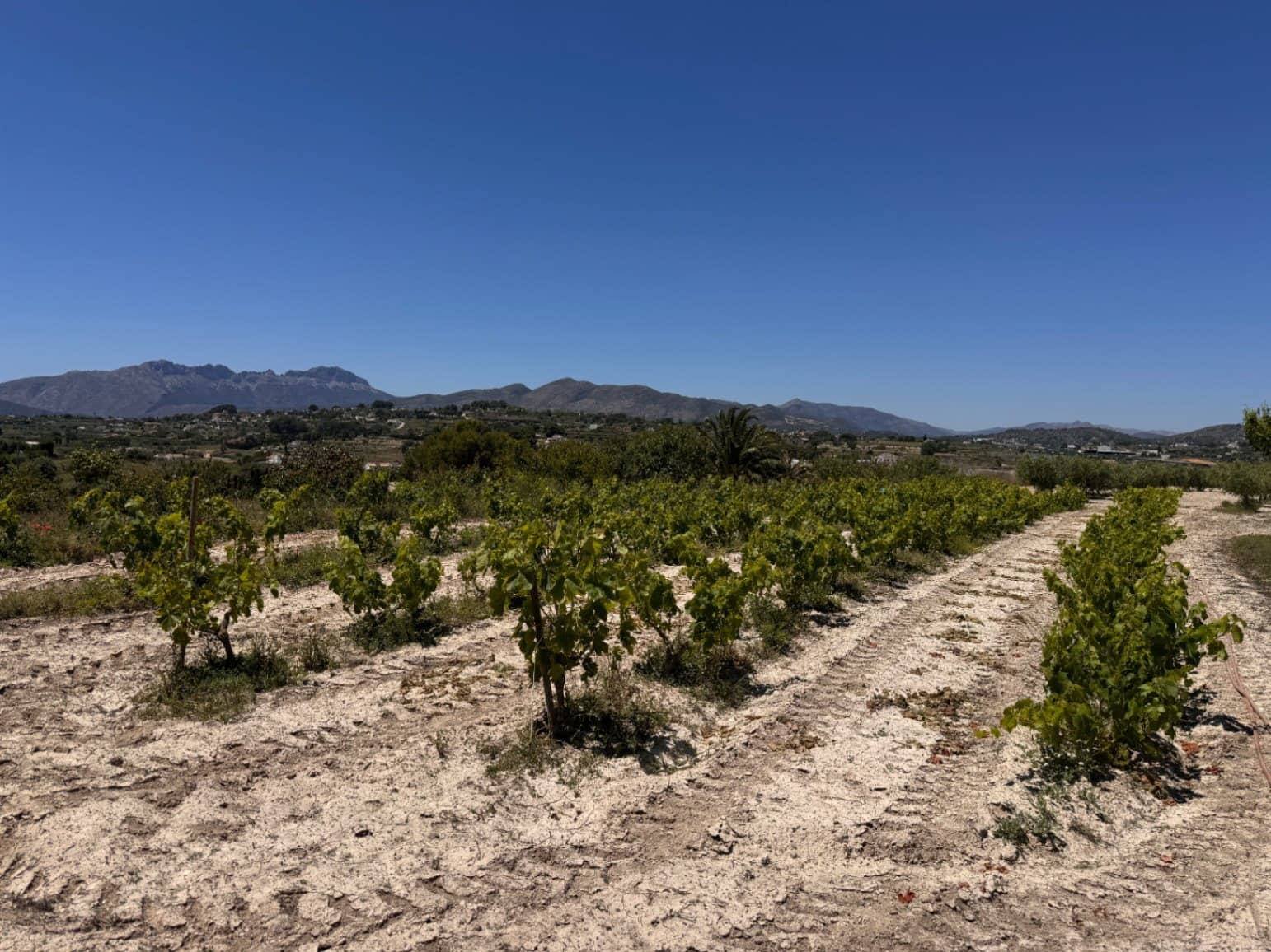 4 bedroom Finca/Country House for sale in Benissa with pool garage - € 1,299,500 (Ref: 9872844)
