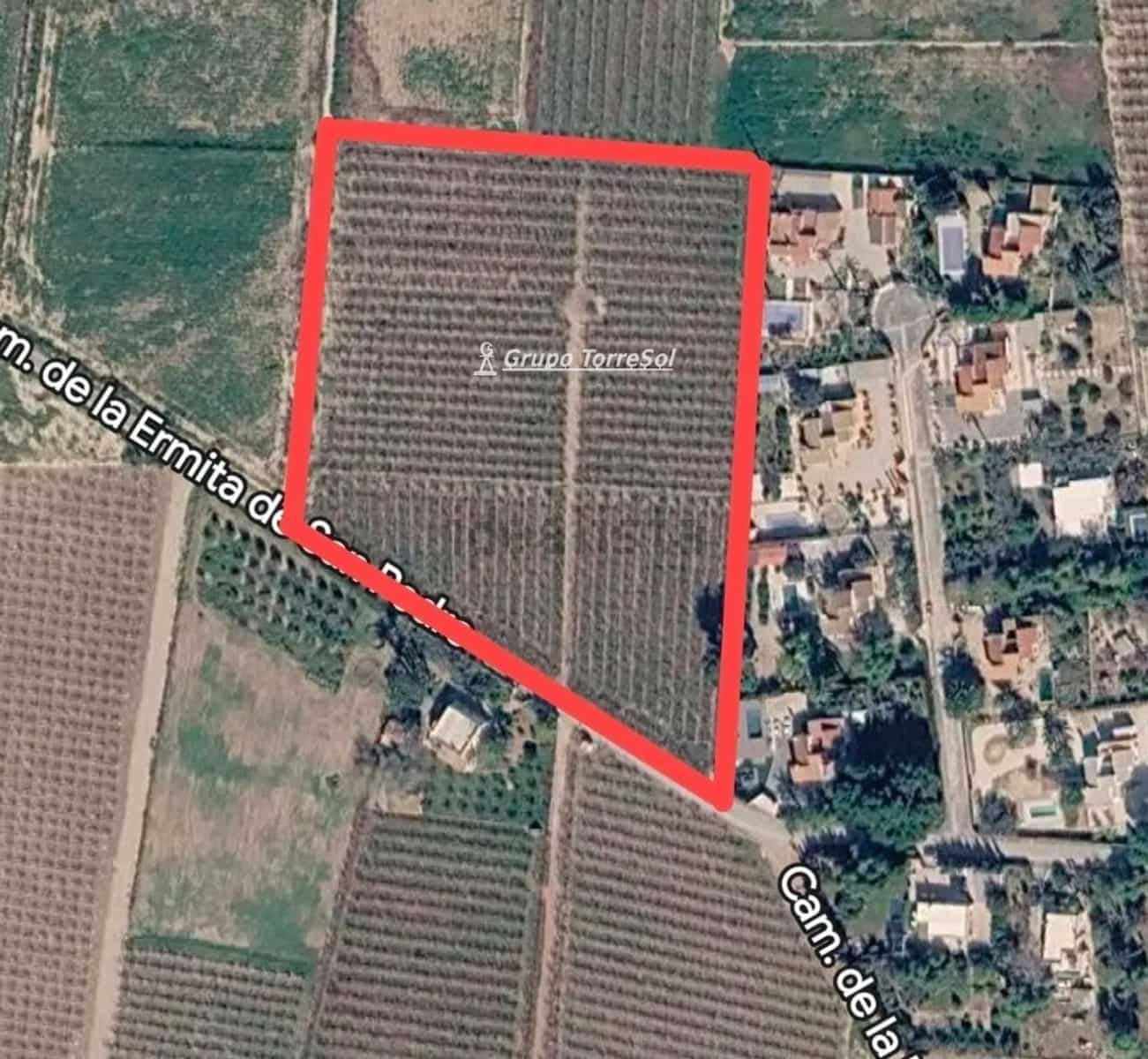 Undeveloped Land for sale in Elche / Elx - € 169,000 (Ref: 10029825)
