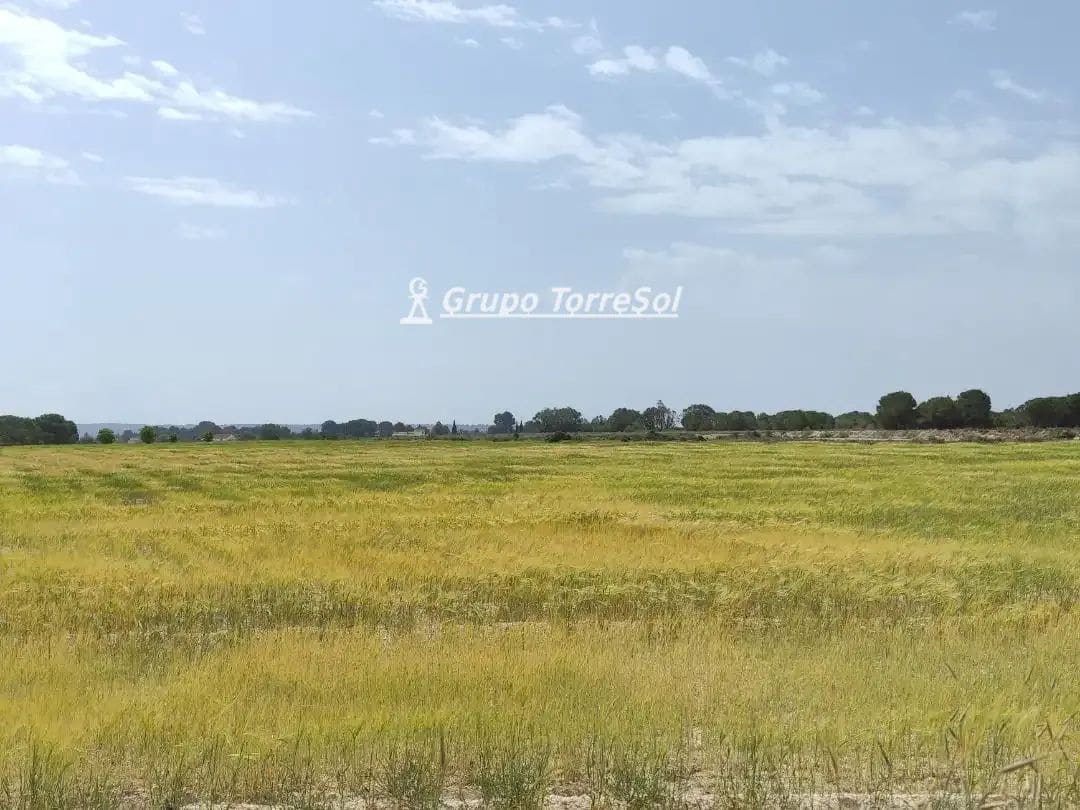 Landgrundstück zu verkaufen in Elche / Elx - 159.000 € (Ref: 10033063)