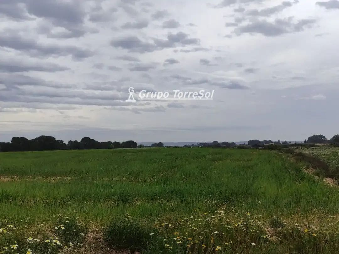 Landgrundstück zu verkaufen in Elche / Elx - 159.000 € (Ref: 10033063)