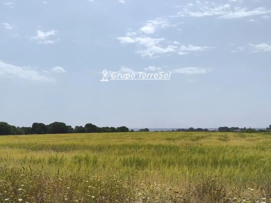 Landgrundstück zu verkaufen in Elche / Elx - 159.000 € (Ref: 10033063)