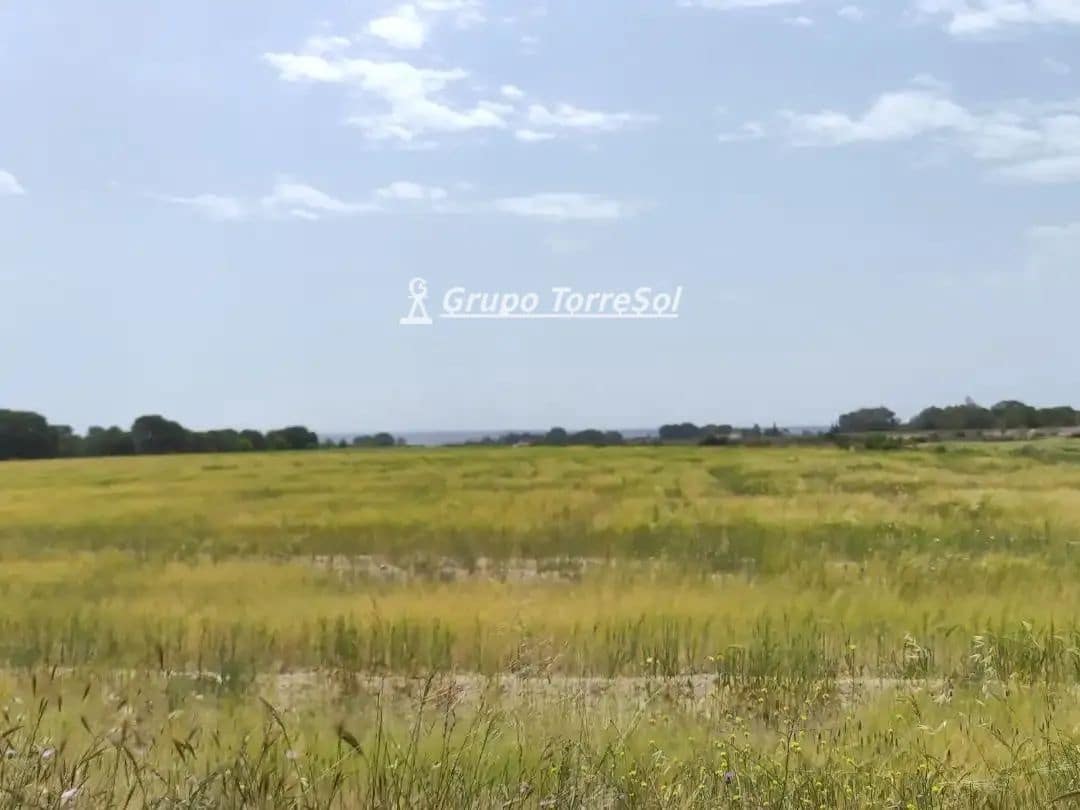 Landgrundstück zu verkaufen in Elche / Elx - 159.000 € (Ref: 10033063)