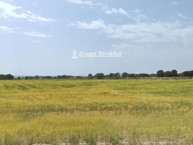 Landgrundstück zu verkaufen in Elche / Elx - 159.000 € (Ref: 10033063)