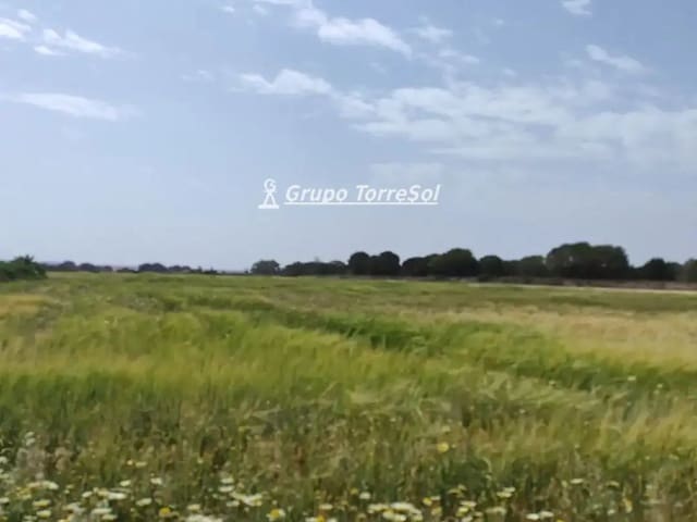 Landgrundstück zu verkaufen in Elche / Elx - 159.000 € (Ref: 10033063)