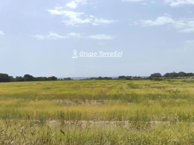 Landgrundstück zu verkaufen in Elche / Elx - 159.000 € (Ref: 10033063)