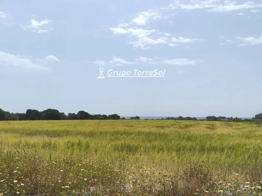 Landgrundstück zu verkaufen in Elche / Elx - 159.000 € (Ref: 10033063)