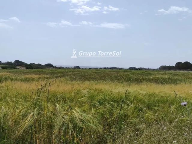 Landgrundstück zu verkaufen in Elche / Elx - 159.000 € (Ref: 10033063)