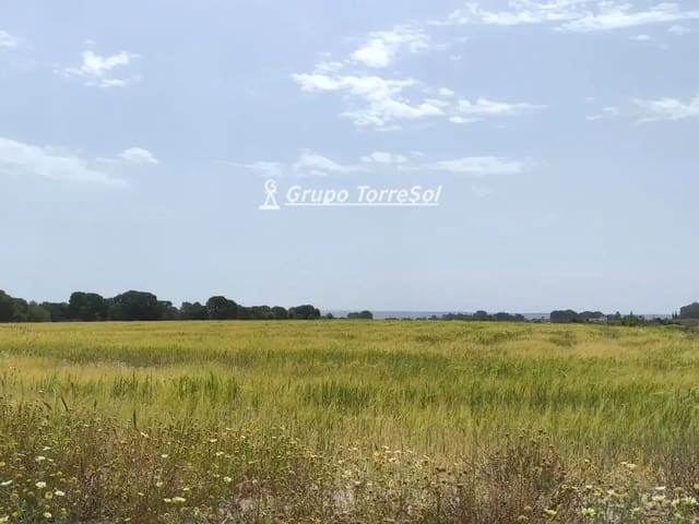 Landgrundstück zu verkaufen in Elche / Elx - 159.000 € (Ref: 10033063)