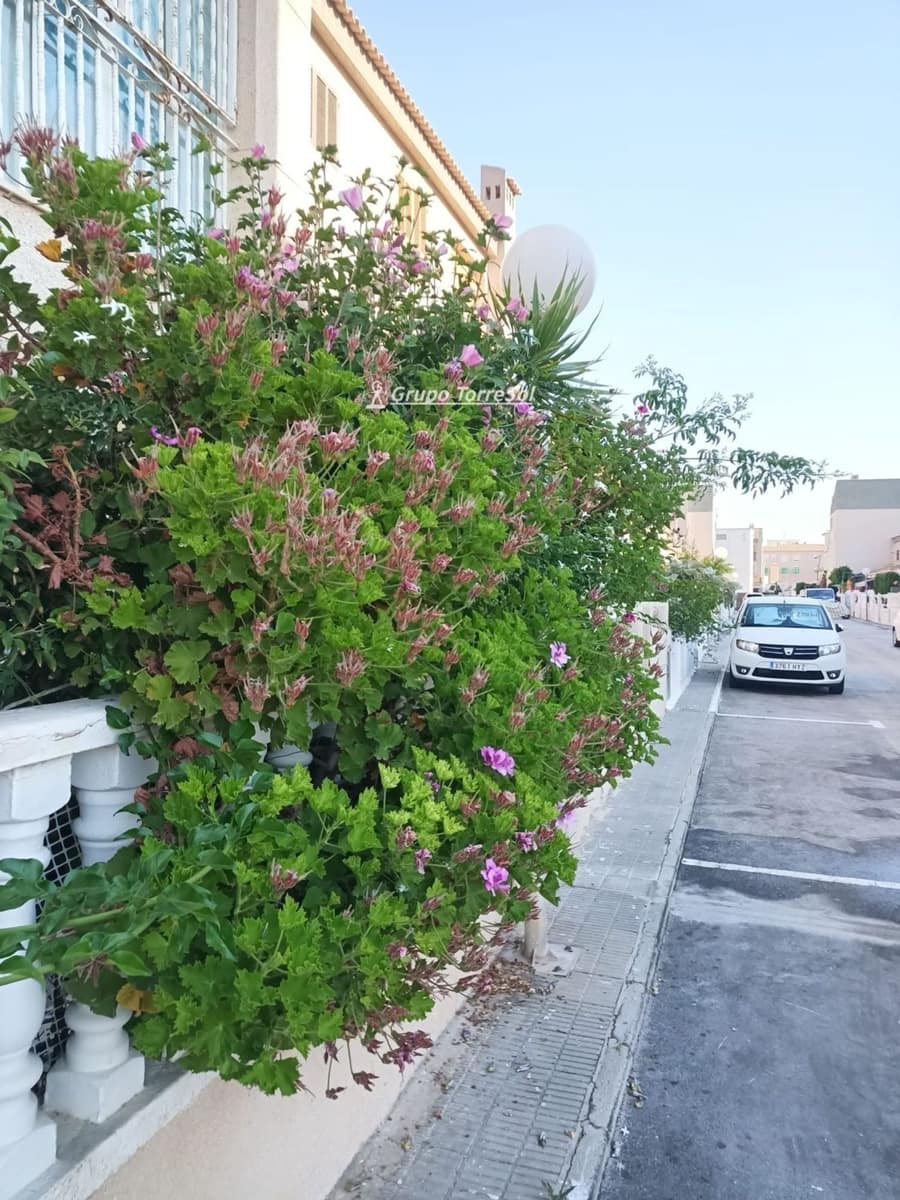 5 sovrum Villa till salu i Santa Pola med garage - 500 000 € (Ref: 10041839)