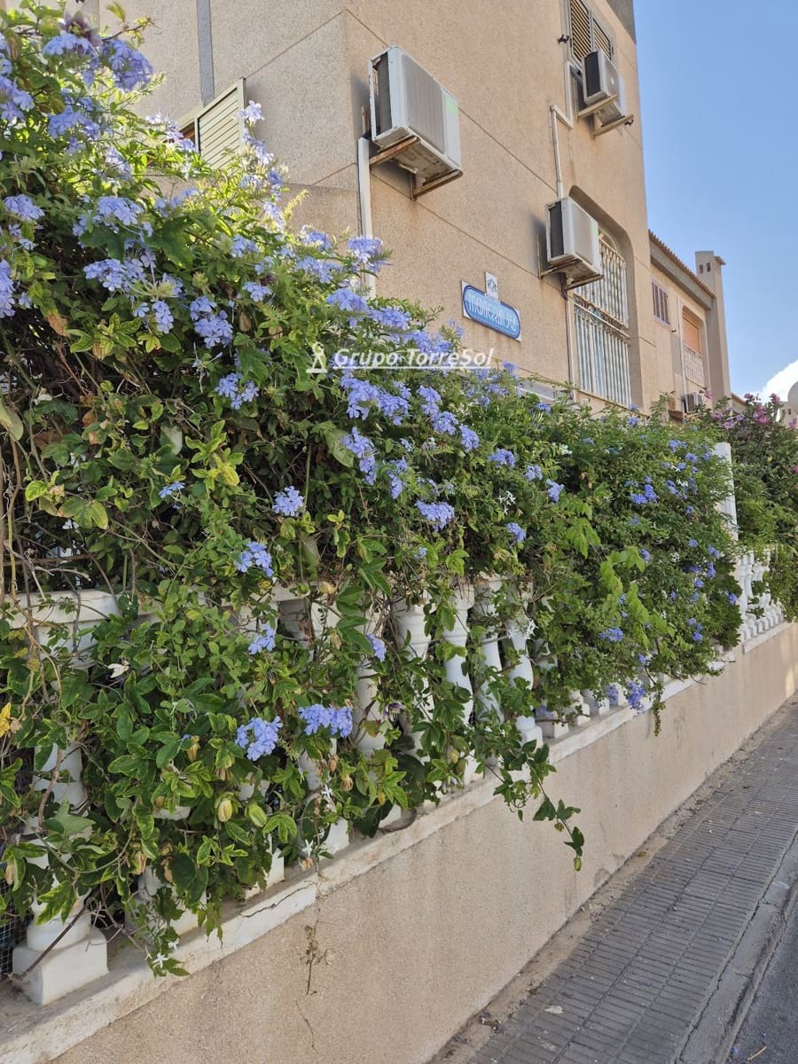 5 bedroom Villa for sale in Santa Pola with garage - € 499,900 (Ref: 10041839)