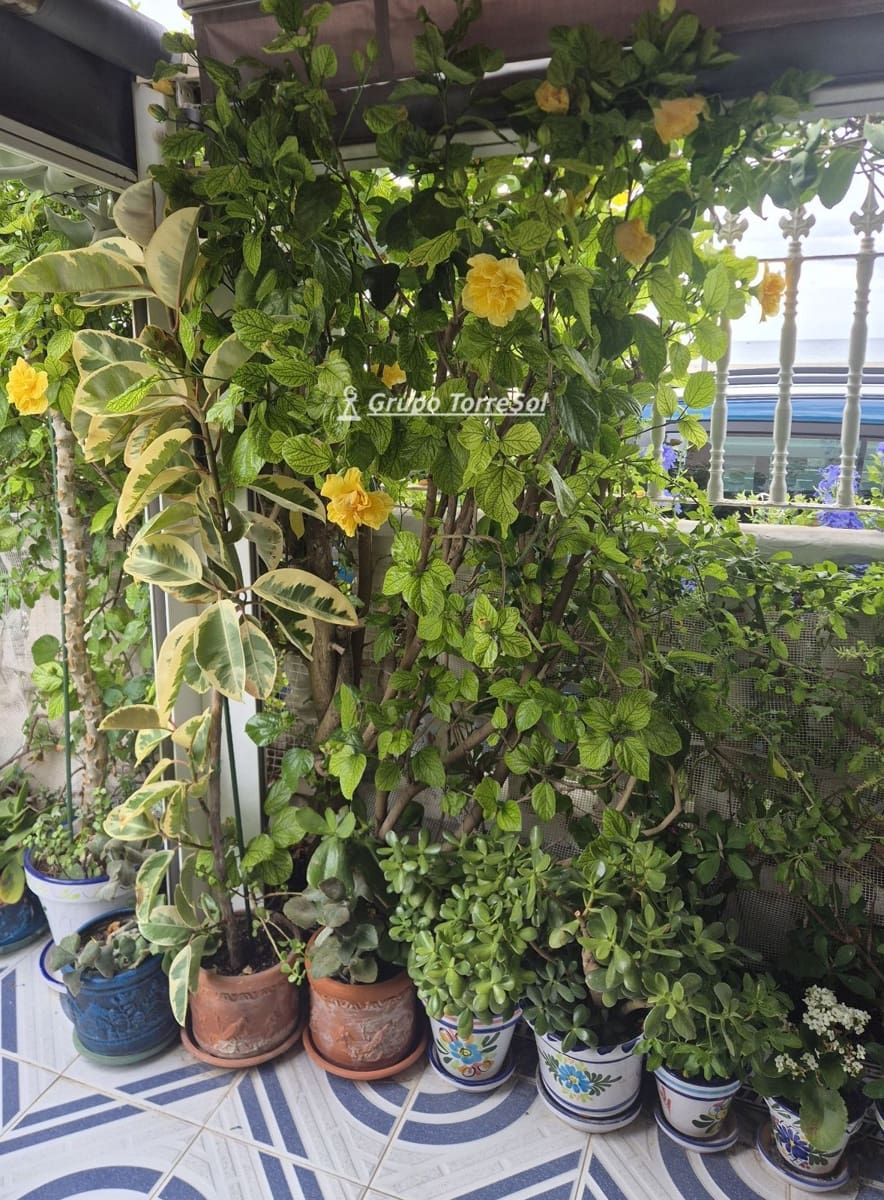 5 bedroom Villa for sale in Santa Pola with garage - € 499,900 (Ref: 10041839)