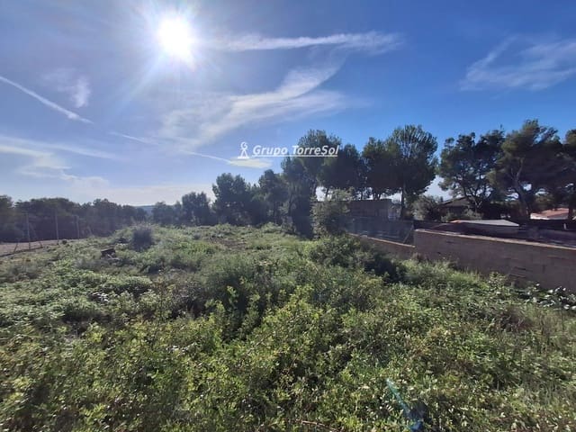 Terrain à Bâtir à vendre à Bellvei - 74 000 € (Ref: 10144737)