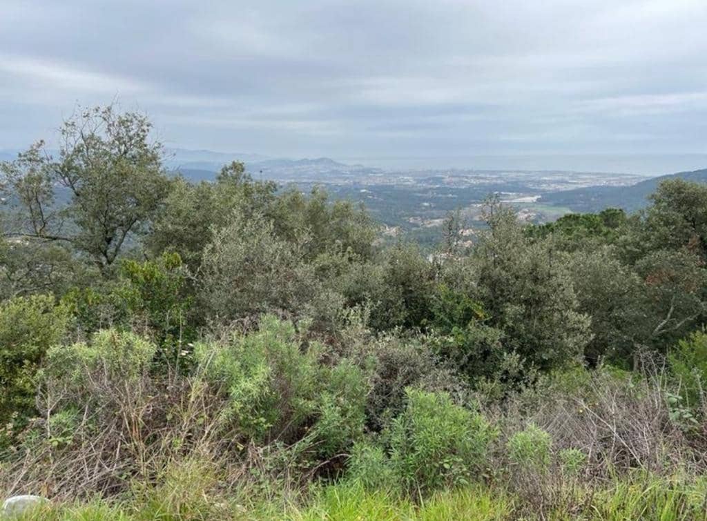 Działka budowlana na sprzedaż w Palafolls - 30 000 € (Ref: 9147795)