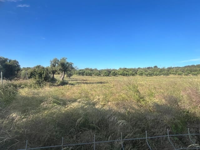 Tontti myytävänä paikassa El Vendrell - 130 000 € (Ref: 9147853)