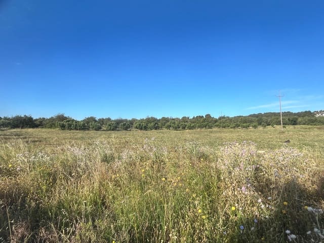 Tontti myytävänä paikassa El Vendrell - 130 000 € (Ref: 9147853)