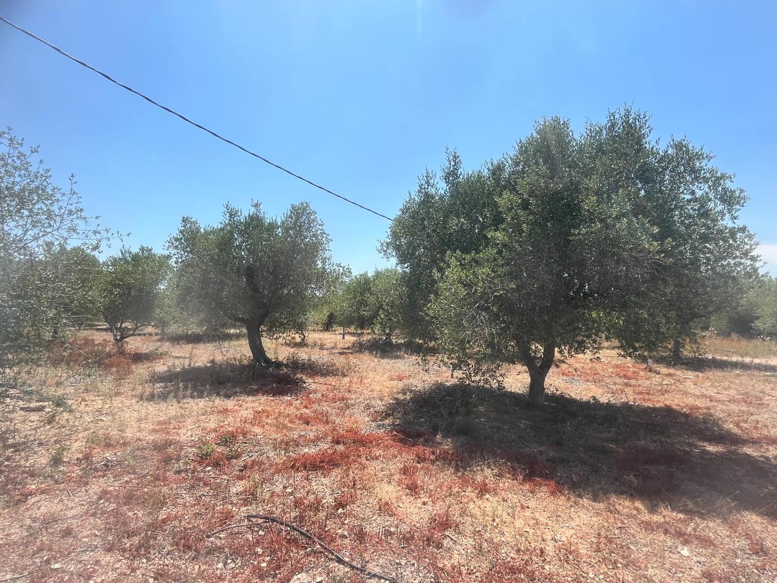 4 soverom Villa til salgs i Banyeres del Penedes med svømmebasseng garasje - € 520 000 (Ref: 9147865)