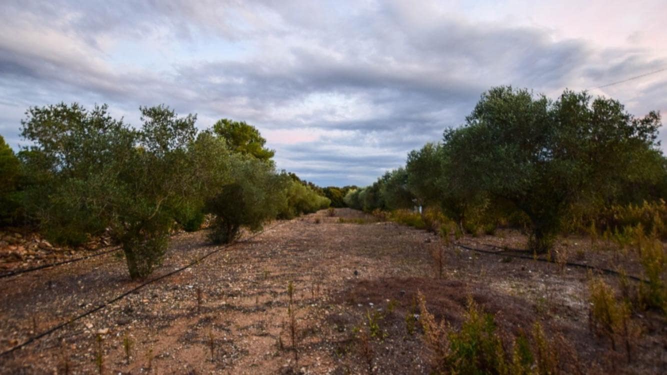 4 soverom Villa til salgs i Banyeres del Penedes med svømmebasseng garasje - € 520 000 (Ref: 9147865)