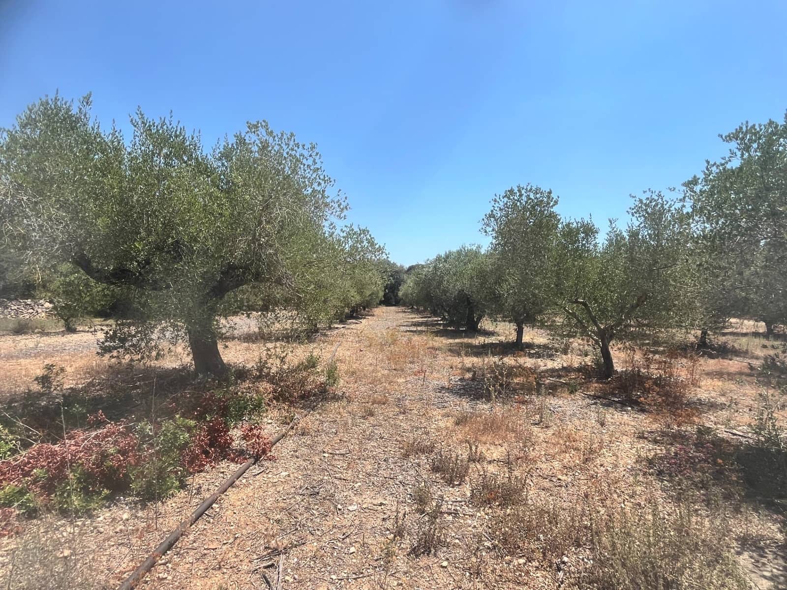 4 soverom Villa til salgs i Banyeres del Penedes med svømmebasseng garasje - € 520 000 (Ref: 9147865)