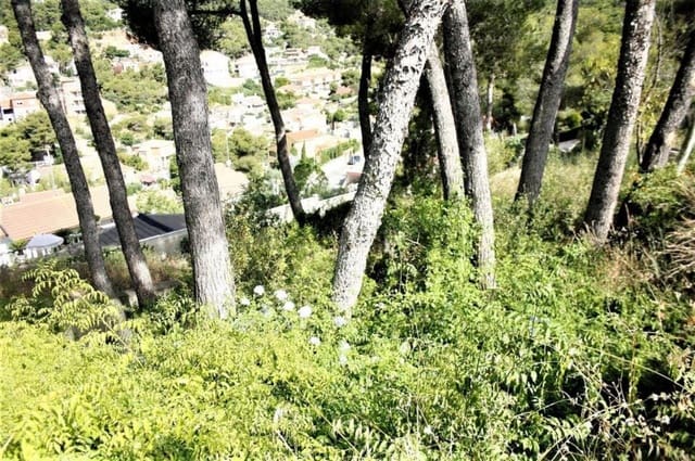 Building Plot for sale in Cubelles - € 35,000 (Ref: 9147876)