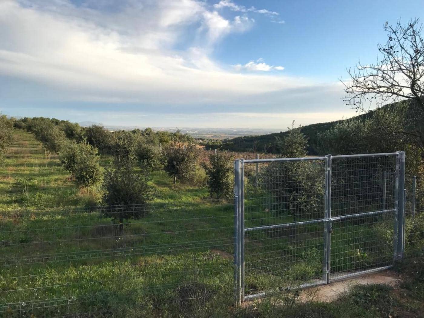 Grunde uden byggetilladelser til salg i Albinyana - € 450.000 (Ref: 9147886)