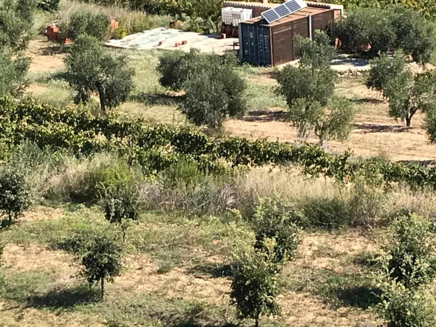 Grunde uden byggetilladelser til salg i Albinyana - € 450.000 (Ref: 9147886)