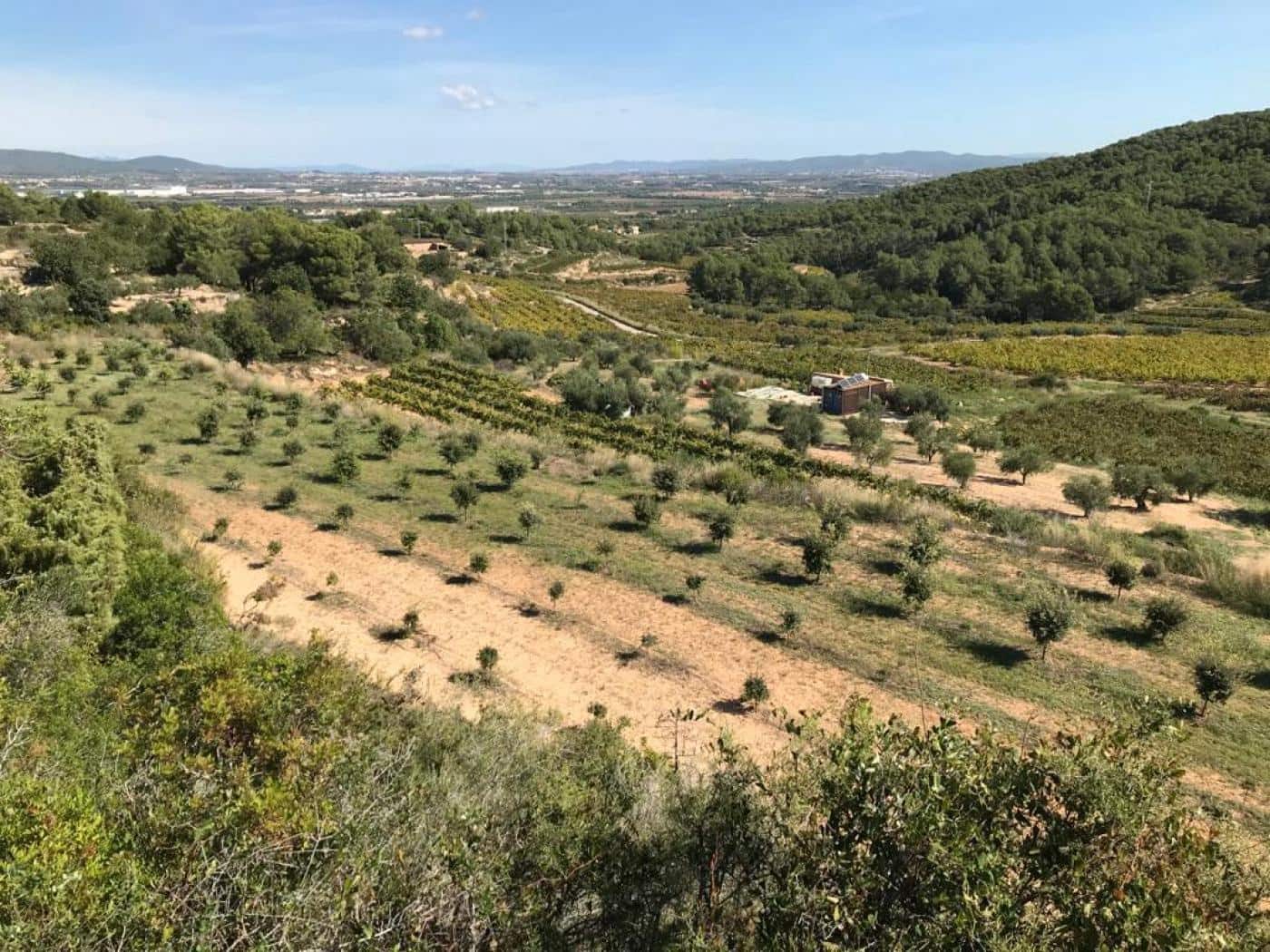 Grunde uden byggetilladelser til salg i Albinyana - € 450.000 (Ref: 9147886)