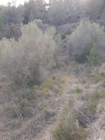 Undeveloped Land for sale in Salomó - € 30,000 (Ref: 9147902)