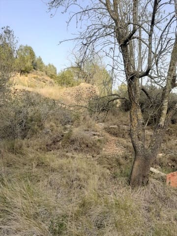 Undeveloped Land for sale in Salomó - € 30,000 (Ref: 9147902)