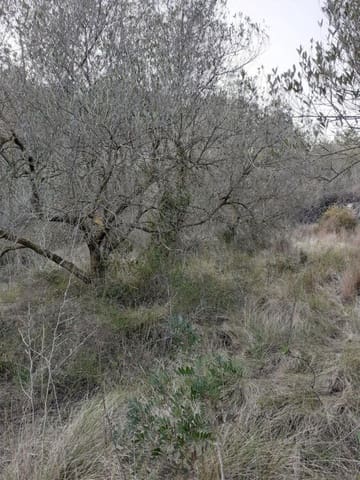 Undeveloped Land for sale in Salomó - € 30,000 (Ref: 9147902)