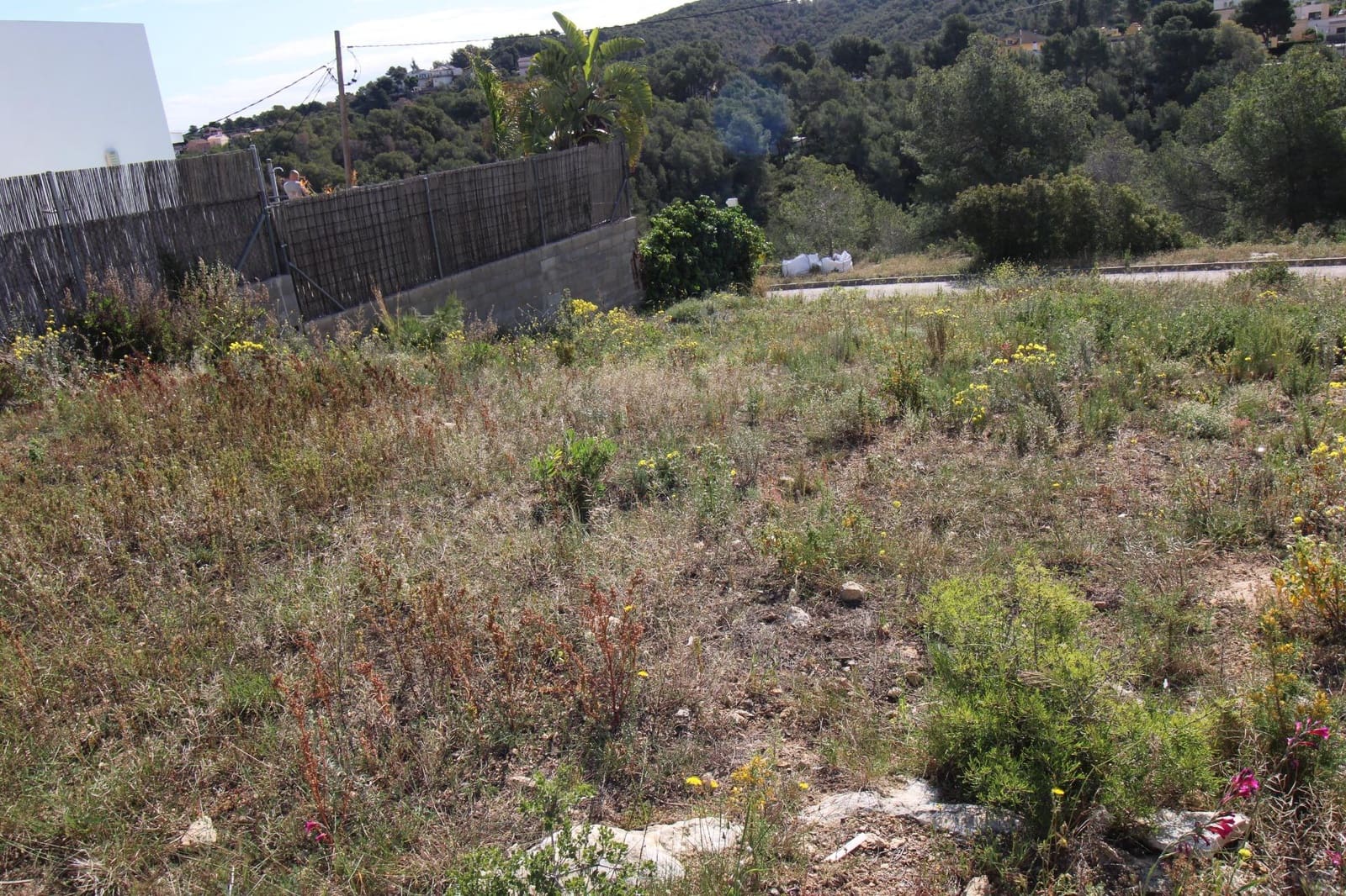 Bouwgrond te koop in La Bisbal del Penedes - € 44.000 (Ref: 9151871)