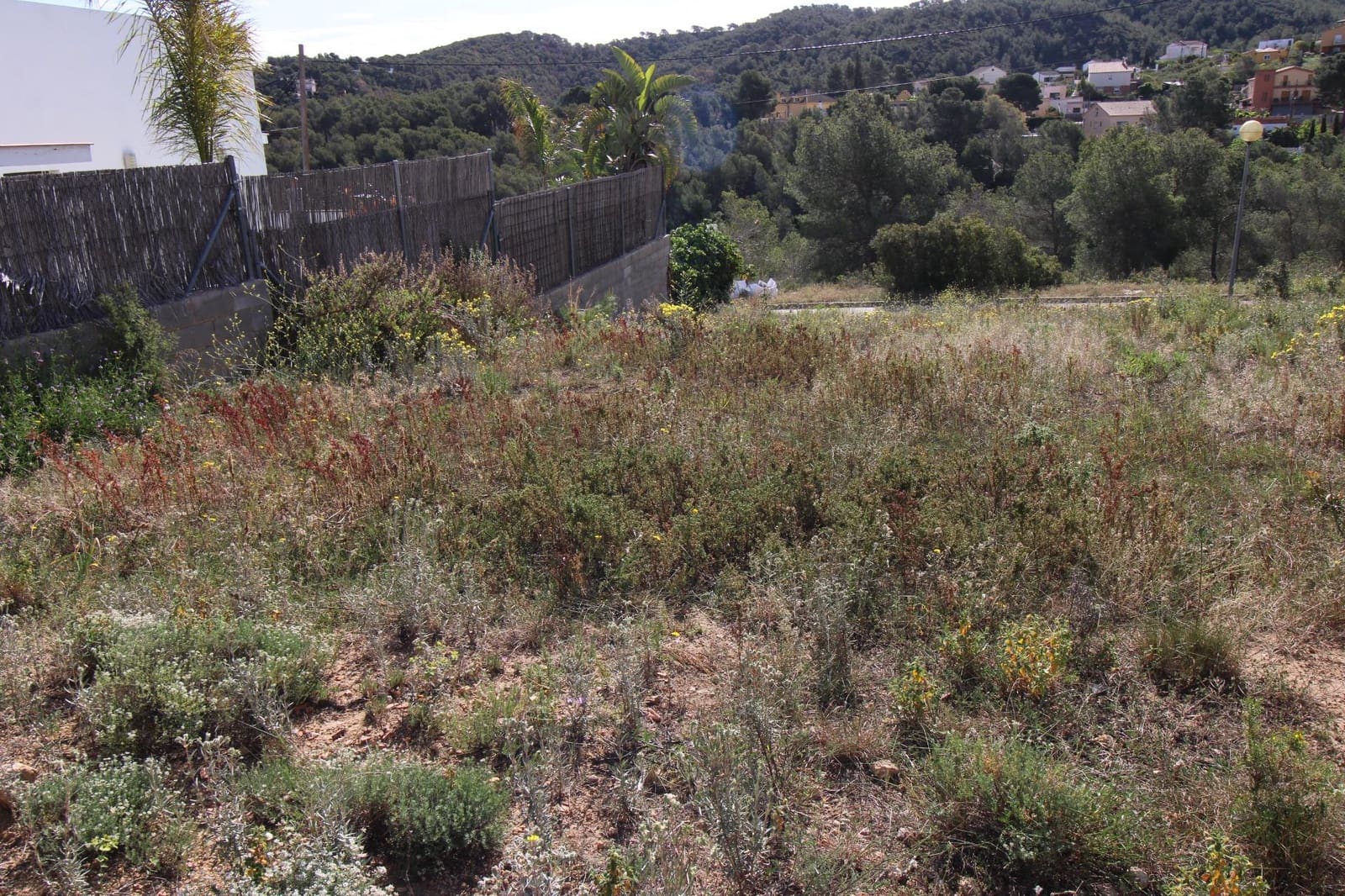 Bouwgrond te koop in La Bisbal del Penedes - € 44.000 (Ref: 9151871)