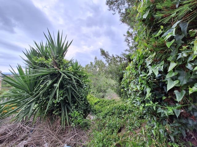 Tomt till salu i Segur de Calafell, Calafell - 83 500 € (Ref: 9151872)