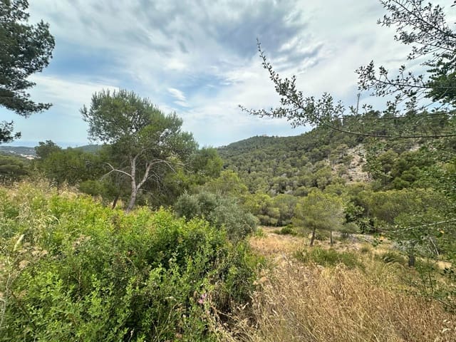 Building Plot for sale in Castellet i la Gornal - € 40,000 (Ref: 9151888)