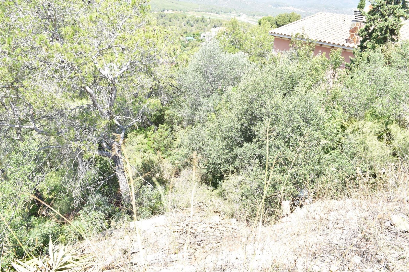 Działka budowlana na sprzedaż w La Bisbal del Penedes - 14 500 € (Ref: 9151934)