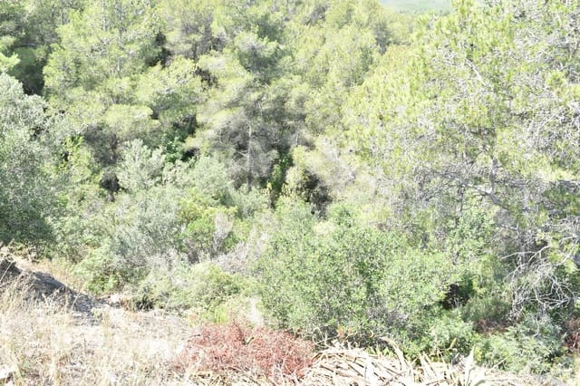 Tomt till salu i La Bisbal del Penedès - 14 500 € (Ref: 9151934)