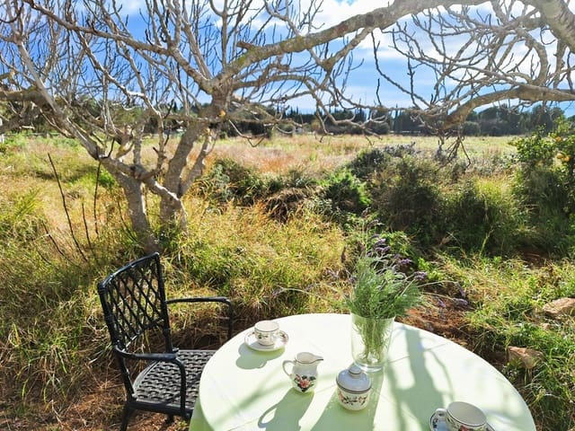 3 Zimmer Villa zu verkaufen in El Vendrell - 498.000 € (Ref: 9151938)