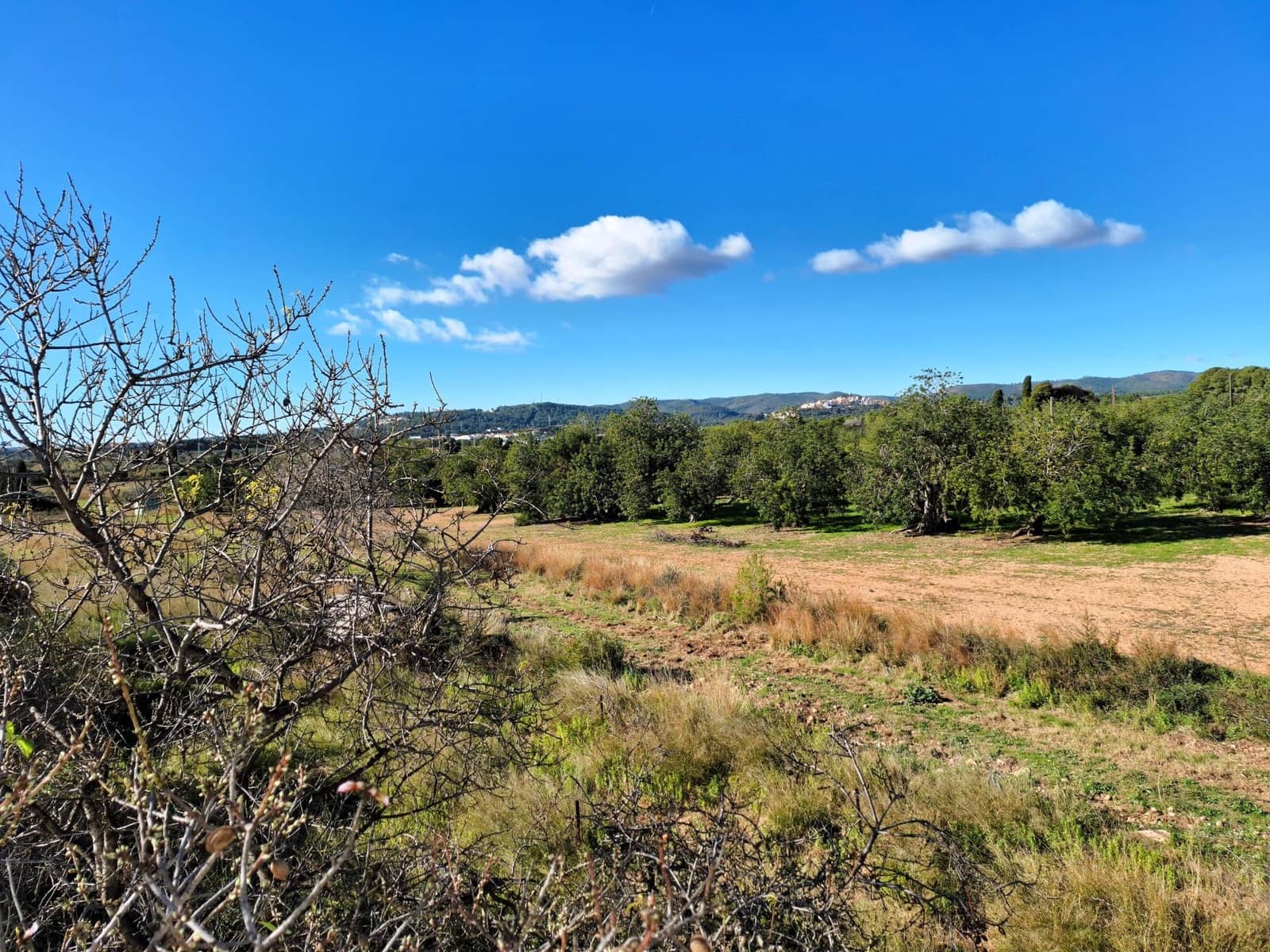 3 Zimmer Villa zu verkaufen in El Vendrell - 498.000 € (Ref: 9151938)