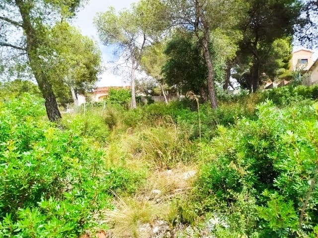 Solar/Parcela en Castellet i la Gornal en venta - 47.000 € (Ref: 9151951)