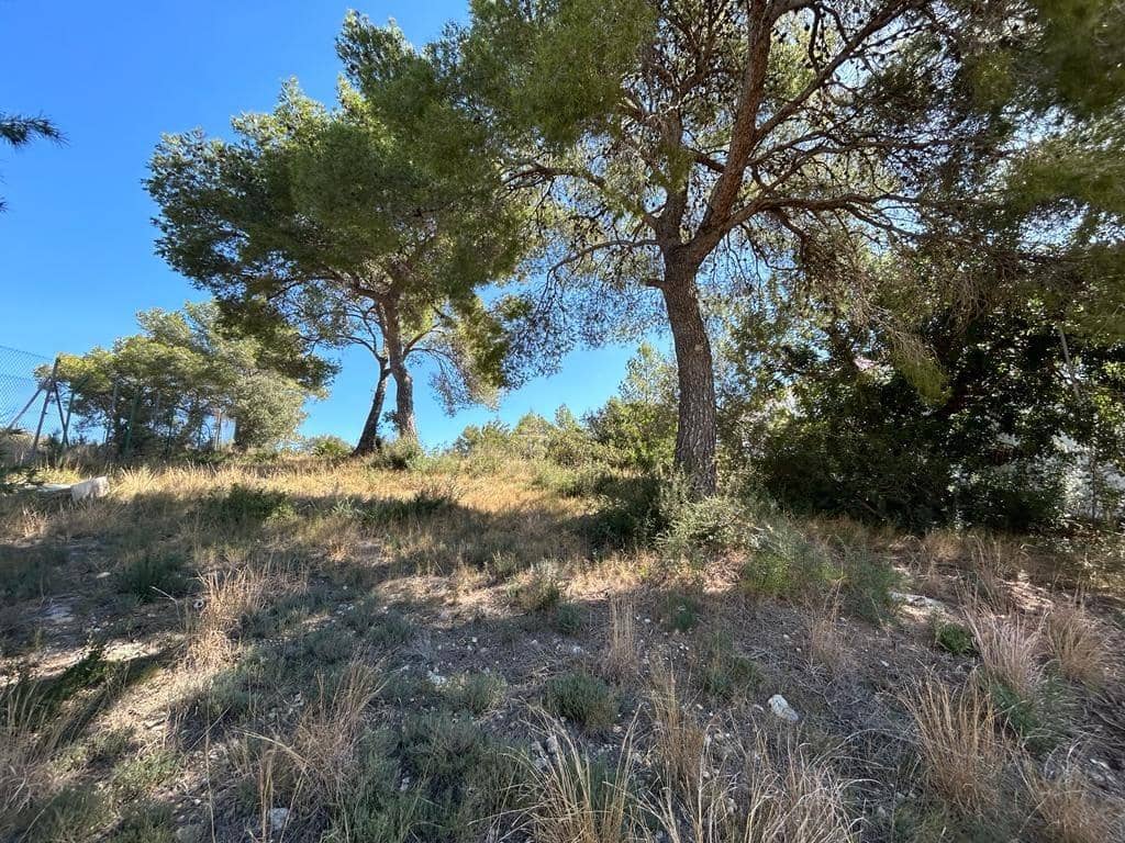 Byggegrund til salg i El Vendrell - € 56.000 (Ref: 9151964)